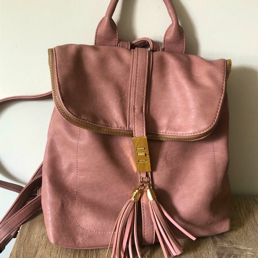 Miztique backpack beautiful pink shade.